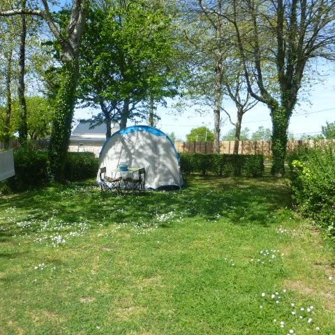 Kampeerplaats - Standplaats voor 1 auto/tent, caravan of camper