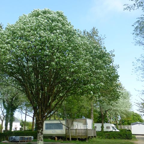 Kampeerplaats - Standplaats voor 1 auto/tent, caravan of camper
