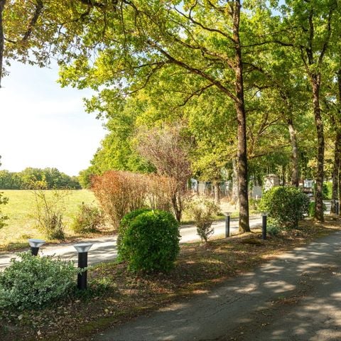 Camping Coeur de Vendée - Camping Vendée - Afbeelding N°6