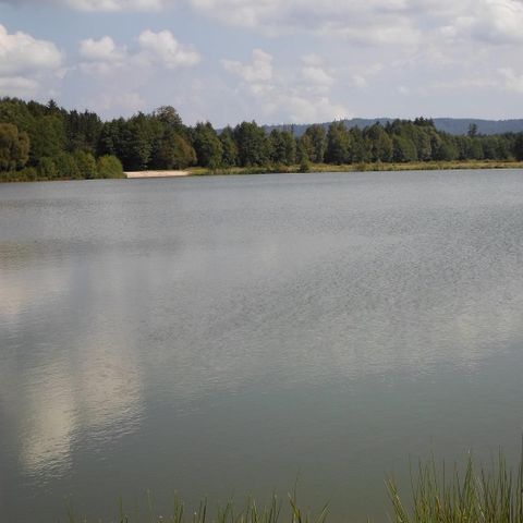 Camping Les Pinasses Camping Les Pinasses - Camping Vosges - Image N°65
