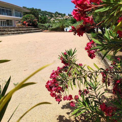Le Parc des Chênes - Camping Var - Image N°6