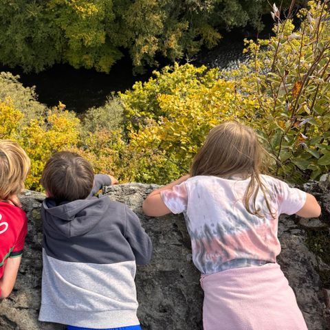 Stellplatz - Wohnmobilstellplatz (ab max. 5m)