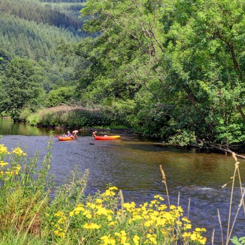 STAANPLAATS - Kampeerplaats met electriciteit