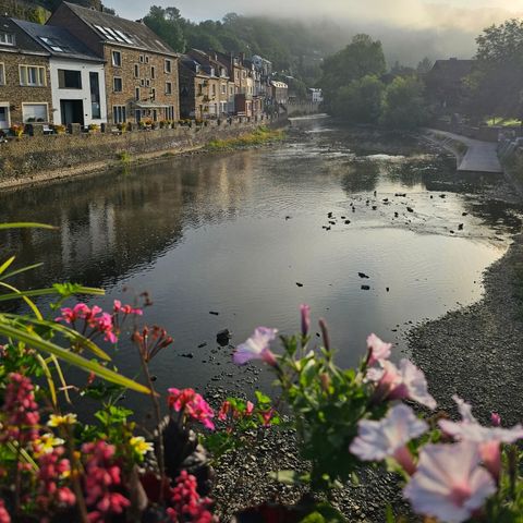 BUNGALOW 4 personnes - Cosy Cottage | 4 personnes (chien admis)