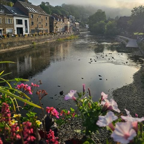 MOBILE HOME 4 people - Cosy Cottage | 4 people (dog allowed)