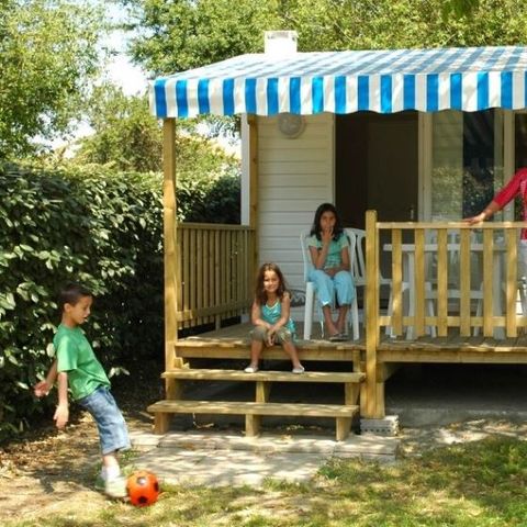 Stacaravan 4 personen - Cocoon voor 4 personen 1 kamer 16m² (1 kamer)