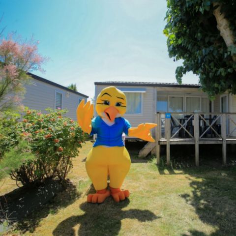 Mobile home 4 persons - PRESTIGE PATIO