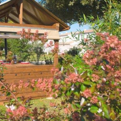 PIAZZOLA - Pacchetto Premium: piazzola 10A con freecamp originale