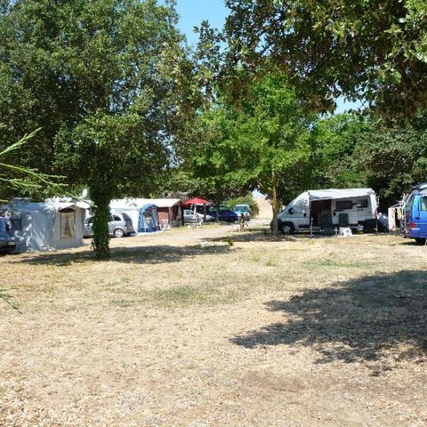 Kampeerplaats - Comfortpakket (1 tent, caravan/ 1 auto/ elektriciteit 10A)