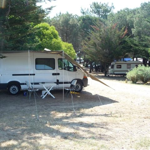 Kampeerplaats - Comfortpakket (1 tent, caravan/ 1 auto/ elektriciteit 10A)
