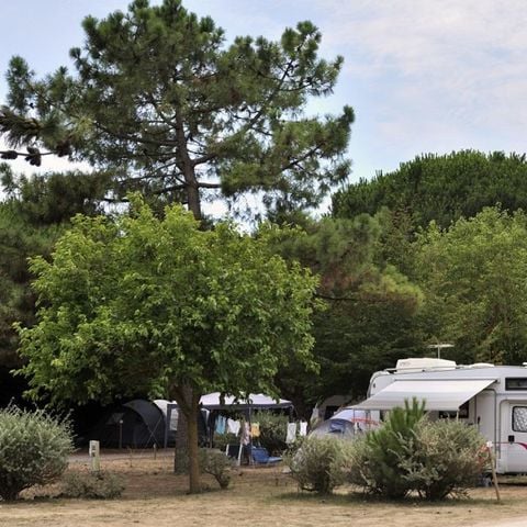 Kampeerplaats - Comfort+ pakket (1 tent, caravan of camper / 1 auto / 10A elektriciteit) 2 pers.