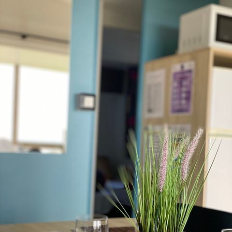 Stacaravan 4 personen - De Basis Zeezicht