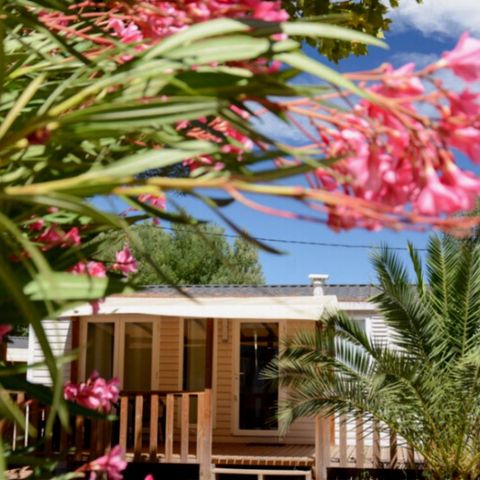 Stacaravan 6 personen - Cottage premium 4/6pl 2ch - maiana