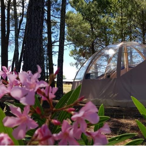 TENT 4 people - Bulle Etoile d'Ardèche 4P
