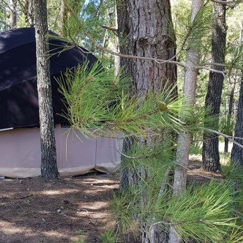Zelt 4 personen - Bulle Etoile d'Ardèche