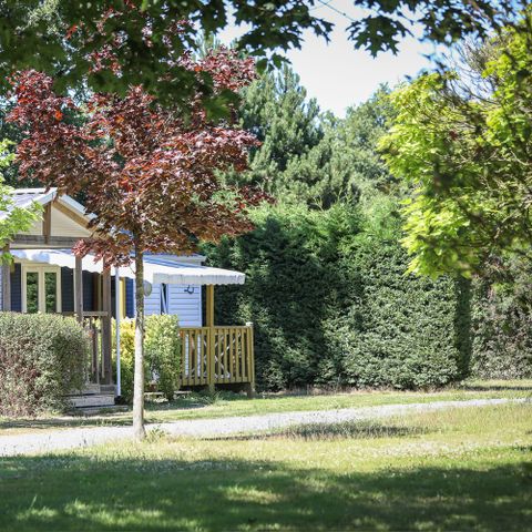 BUNGALOW 6 personnes - Mobil-home Standard 24m² - 2 chambres (4/6 personnes) + terrasse semi-couverte 4/6 pers
