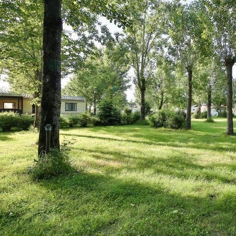 PIAZZOLA - Pacchetto comfort (1 tenda, roulotte o camper / 1 auto / elettricità)