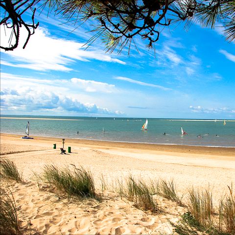 Camping Côté O La Palmyre Camping Côté O La Palmyre - Camping Charente-Maritime - Image N°25
