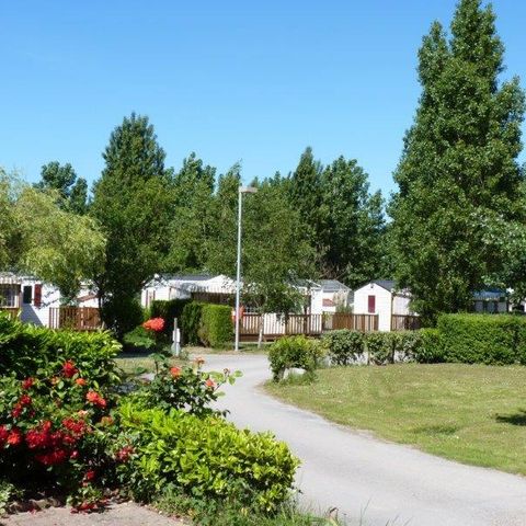 Stellplatz - Forfait Nature (1 Zelt, Wohnwagen oder Wohnmobil / 1 Fahrzeug)