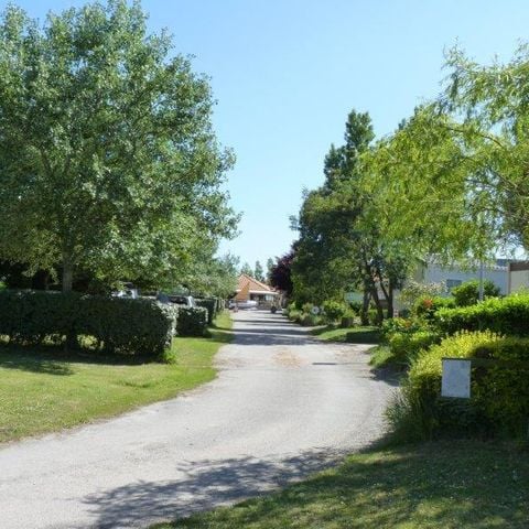 STAANPLAATS - Comfortpakket (1 tent, caravan of camper / 1 voertuig / 10A elektriciteit)