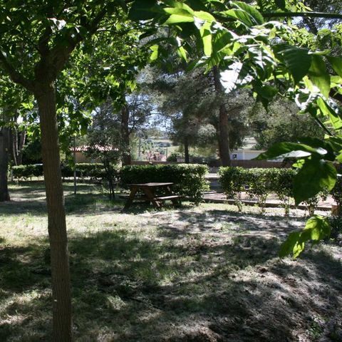 PIAZZOLA - Piazzola CONFORT + (> 85m²)