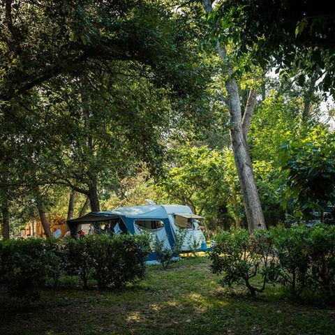 Stellplatz - Stellplatz CONFORT + (> 85m²)