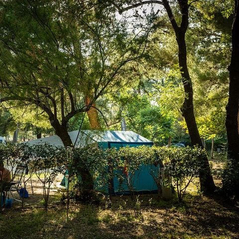 EMPLACEMENT - Emplacement CONFORT (~80 m²)