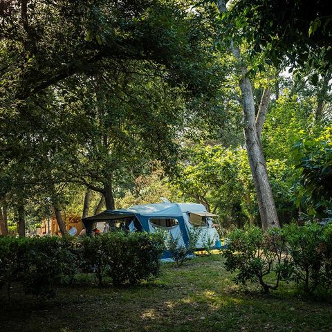 Stellplatz - Stellplatz CONFORT (~80 m²)