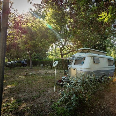 Pitch - Pitch CONFORT (~80 m²)