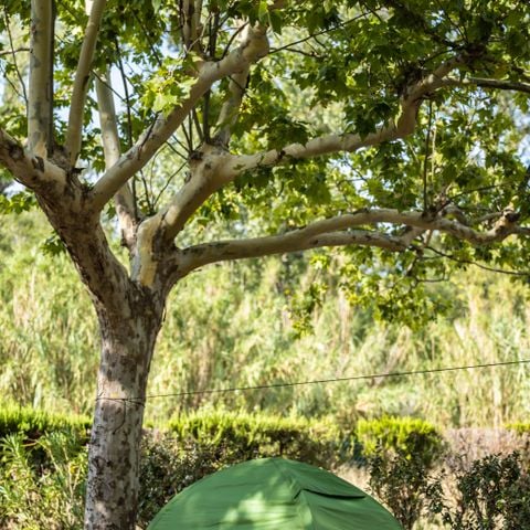 Pitch - Pitch CONFORT (~80 m²)