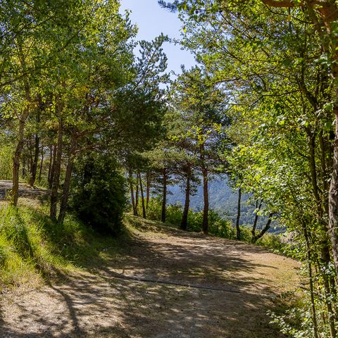 Stellplatz - Solo-Paket Fahrrad/Motorrad