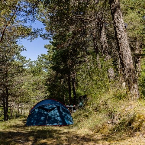 Pitch - Bicycle/Motorcycle solo package