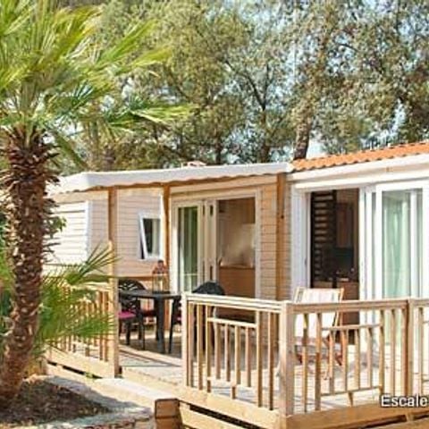 Mobilheim 4 Personen - MARQUISE TRIO - Coté TERRE (Landseite)