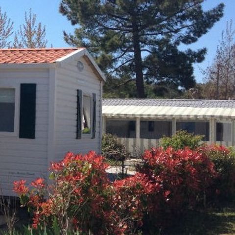 Stacaravan 4 personen - Stacaravan Standard 26m² 2 kamers + terras (landzijde)