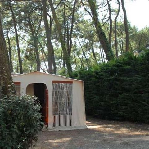 PIAZZOLA
