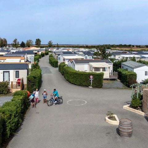 Camping Paradis Les Jonquilles - Camping Vendée - Image N°6