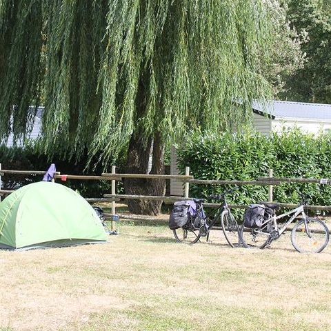 PARCELA - Paquete Pitch