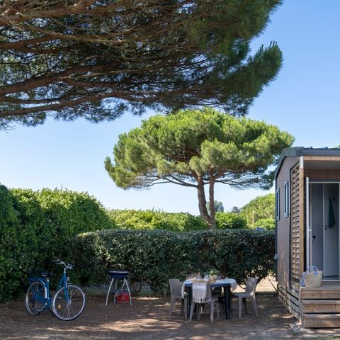 Stellplatz - Premium