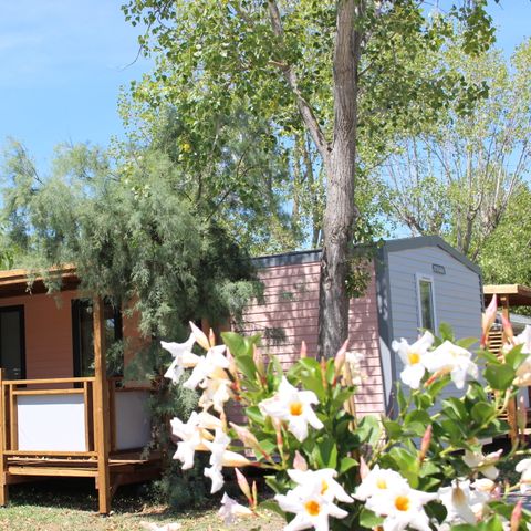 MOBILE HOME 4 people - Flamant - 2 bedrooms