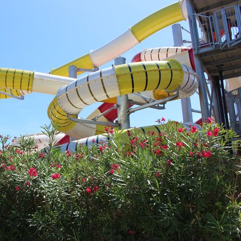 Camping l'Oasis Palavasienne - Camping Paradis Camping l'Oasis Palavasienne - Camping Paradis - Camping Herault - Image N°4