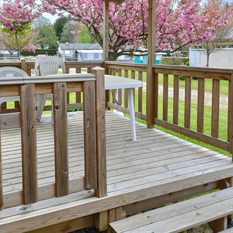 Mobile home 4 persons - PINK LILAC LILY MIMOSA