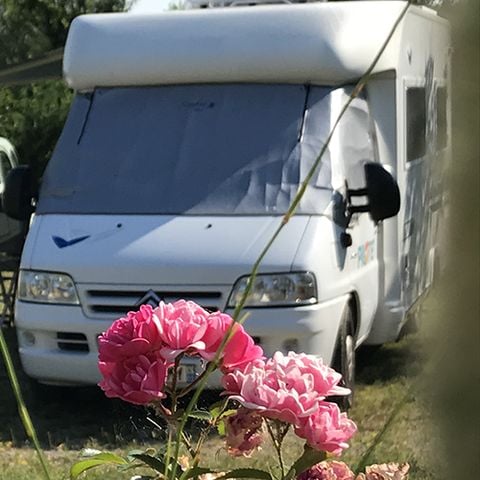 STAANPLAATS - Privilege XXL 10A pakket (1 tent, caravan of camper)