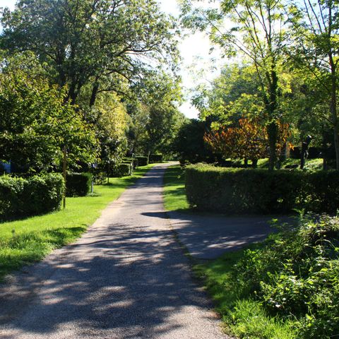 Stellplatz - Pauschale Stellplatz Nature ohne Strom (für Zelt, Wohnwagen und Wohnmobil).