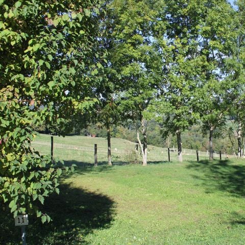 PIAZZOLA - Piazzola naturale senza elettricità (per tenda, roulotte e camper).