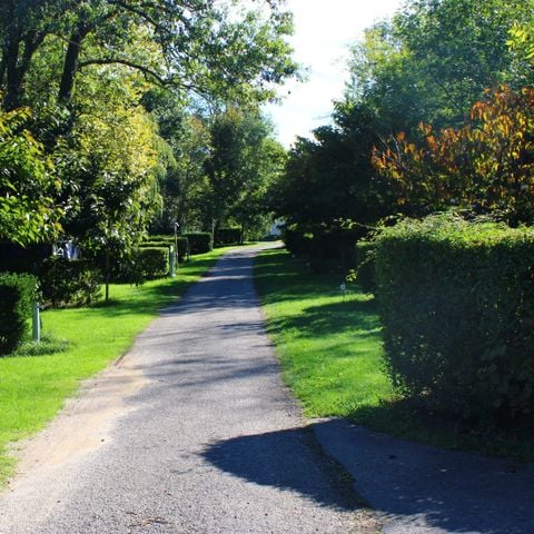 EMPLACEMENT - Forfait Emplacement Confort avec électricité 10A (pour tentes, cavaranes et camping-cars)