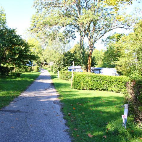 PARCELA - Paquete de parcela Premium con electricidad 10A, nevera, mesa, 4 sillas y barbacoa