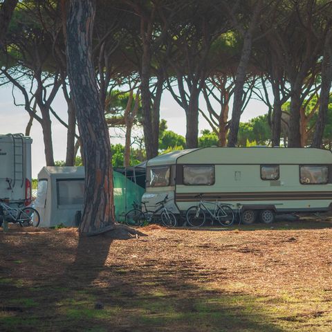 PLOT - COMFORT LOCATION