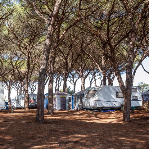 PLOT - COMFORT LOCATION