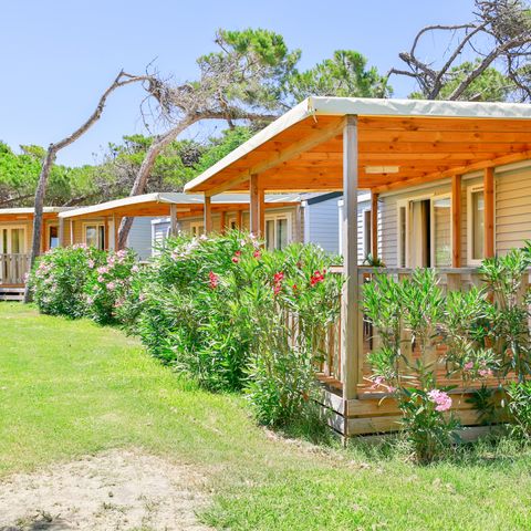 Mobilheim 6 Personen - Premium Lodge