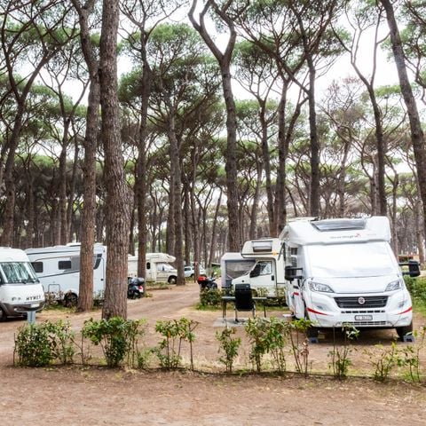 Kampeerplaats - Camper, Tent-aanhangwagen, Caravan